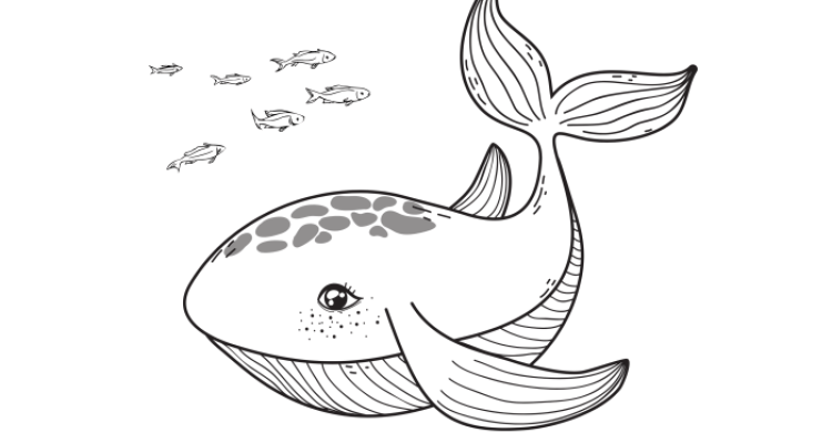 Free coloring sheets of sea animals