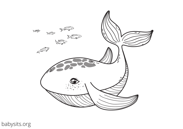 Free coloring sheets of sea animals