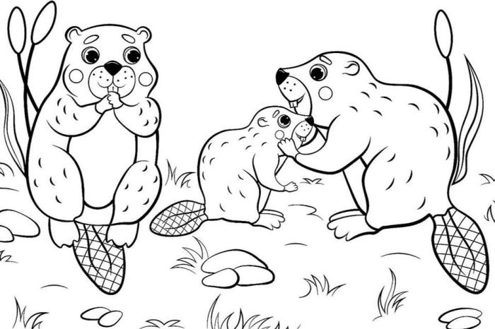 Coloring pages printable animals