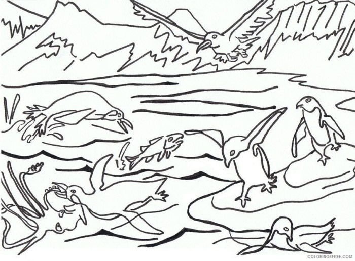 Animals in antarctica coloring sheets