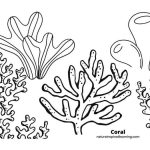 Coral reef animals coloring