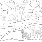 Forest animal tracks coloring page