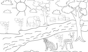 Forest animal tracks coloring page