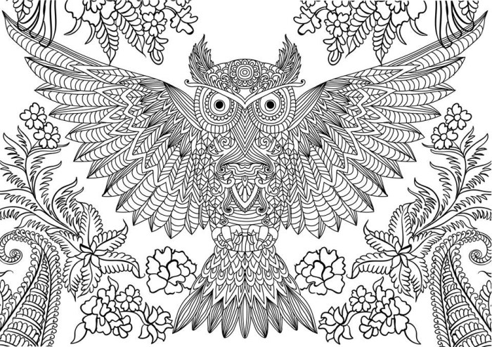 Coloring pages animals hard owl