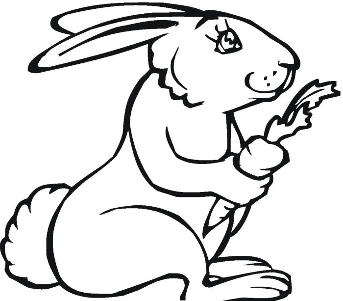 Animal coloring pages rabbit