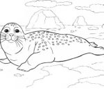 Alaska animal coloring pages