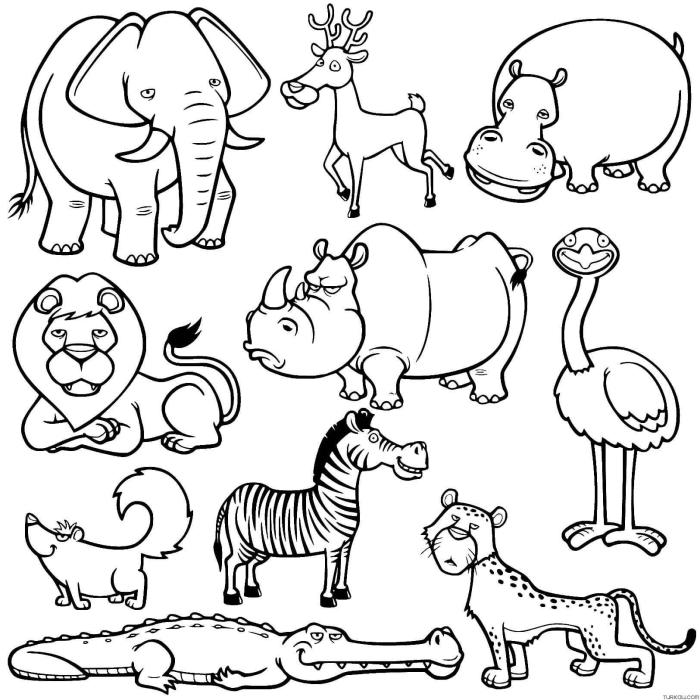 Animal catcher coloring pages