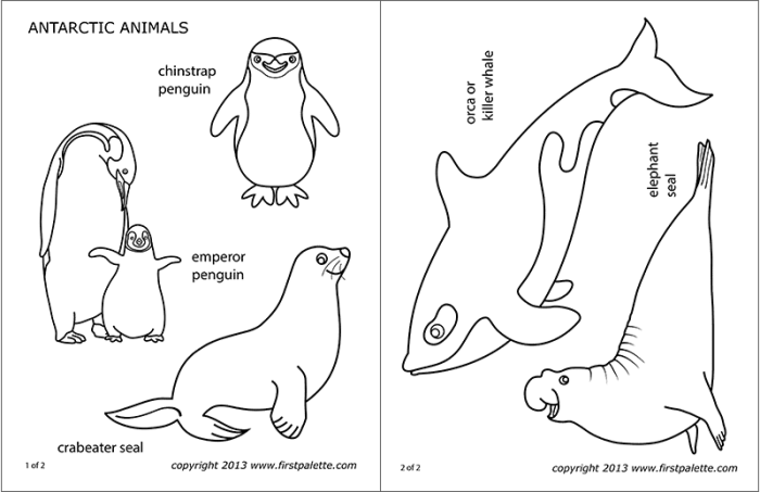 Animals in antarctica coloring sheets