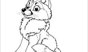 Firewolf anime wolf coloring pages baby