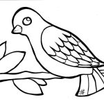 Animal coloring pages birds