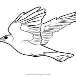 Animated oriole coloring page