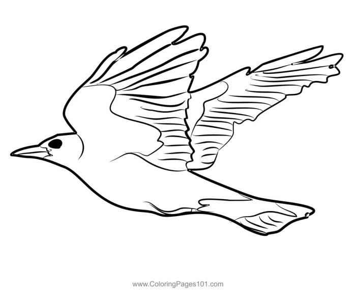 Animated oriole coloring page