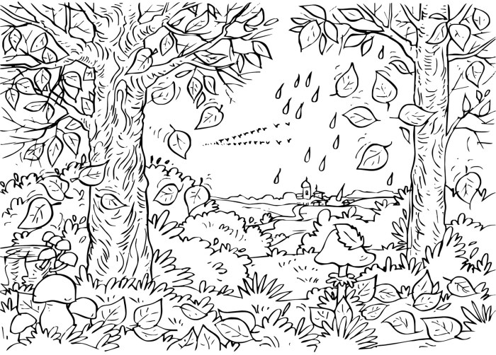 Forest coloring pages with animals