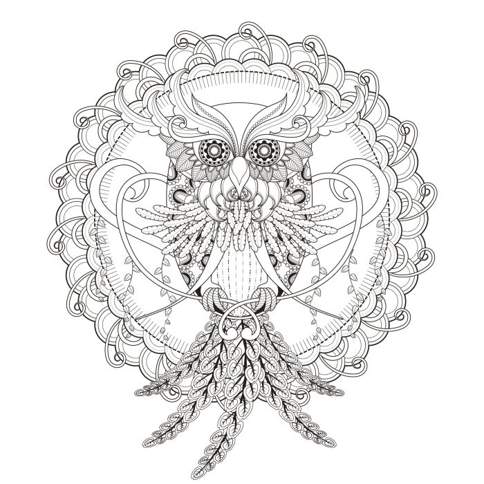 Coloring pages animals hard owl