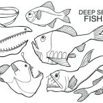 Deep sea ocean animals coloring pages