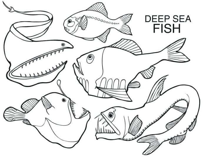 Deep sea ocean animals coloring pages