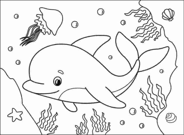 Animal jam coloring pages dolphin