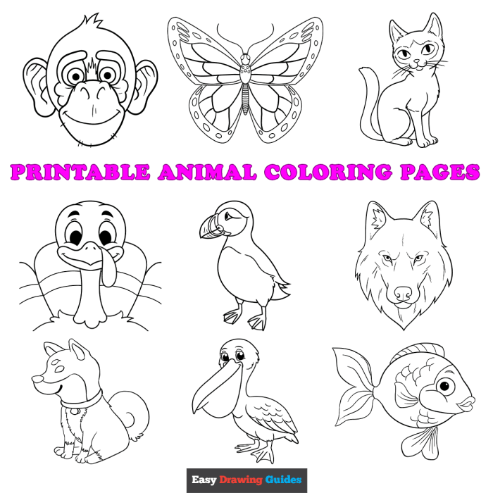 Animals and flowers coloring pages