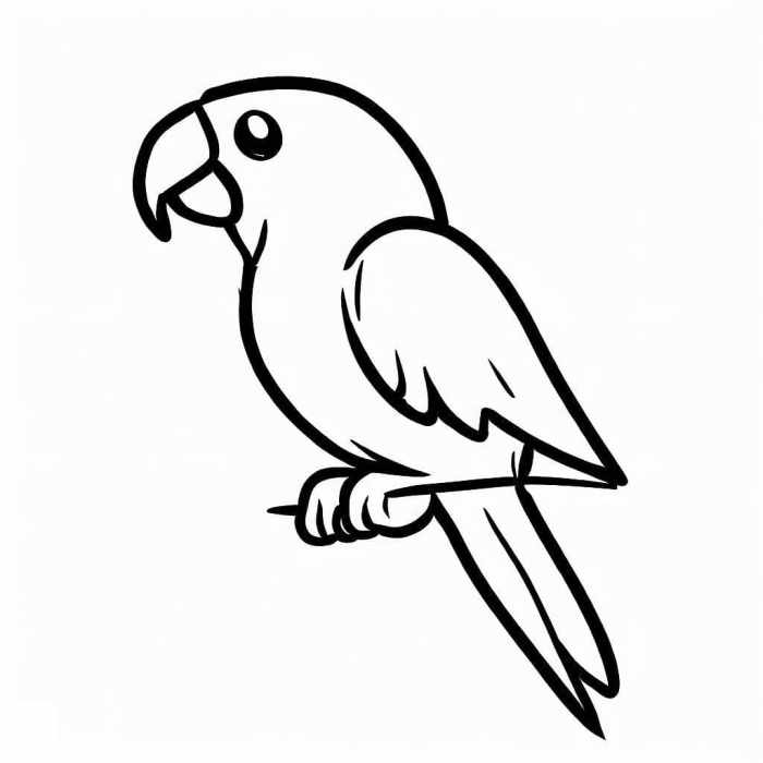 Animal coloring sheet parrot