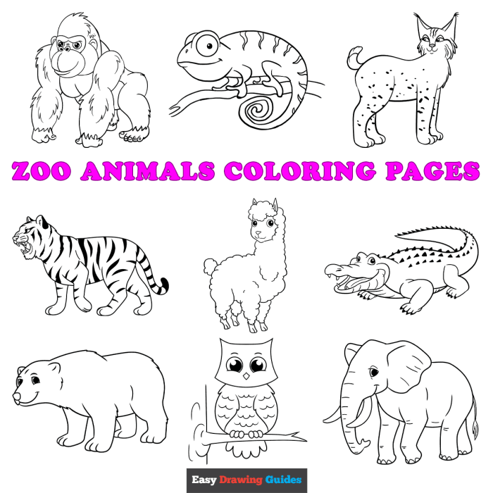 Animal cute coloring pages for kids