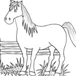 Farm animals coloring pages free