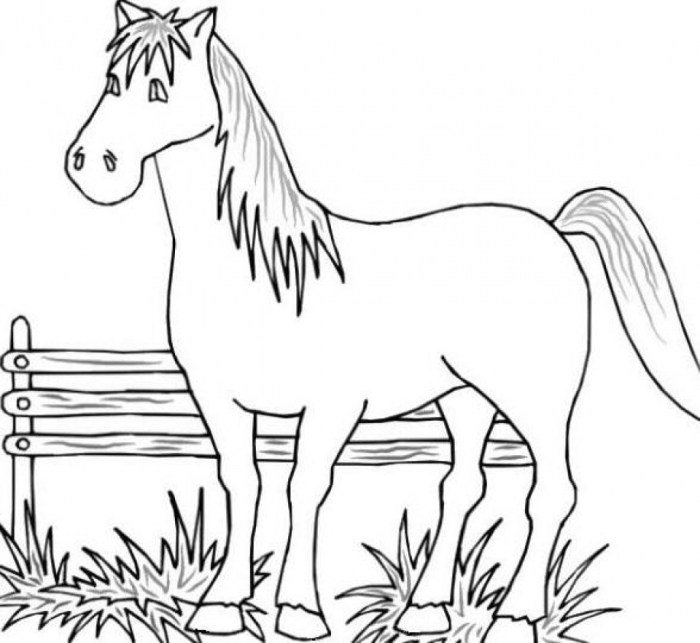 Farm animals coloring pages free