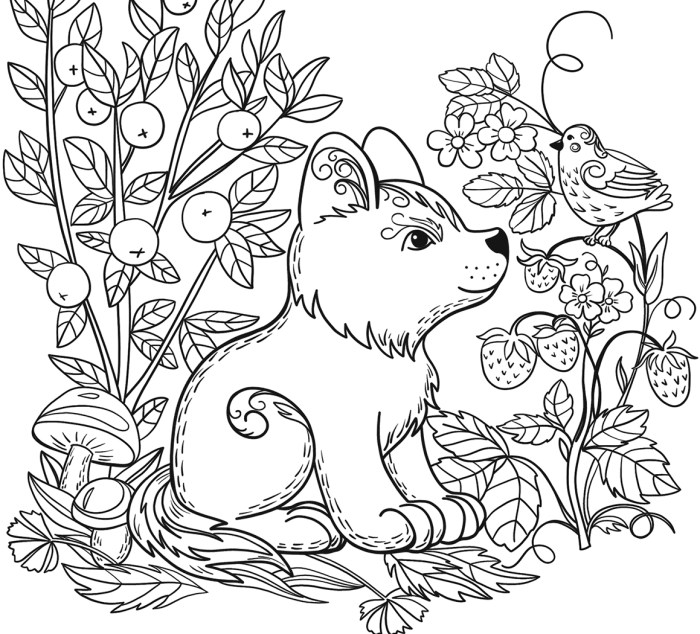 Animal coloring pages online