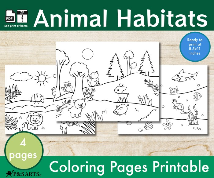 Animal habitats coloring sheets