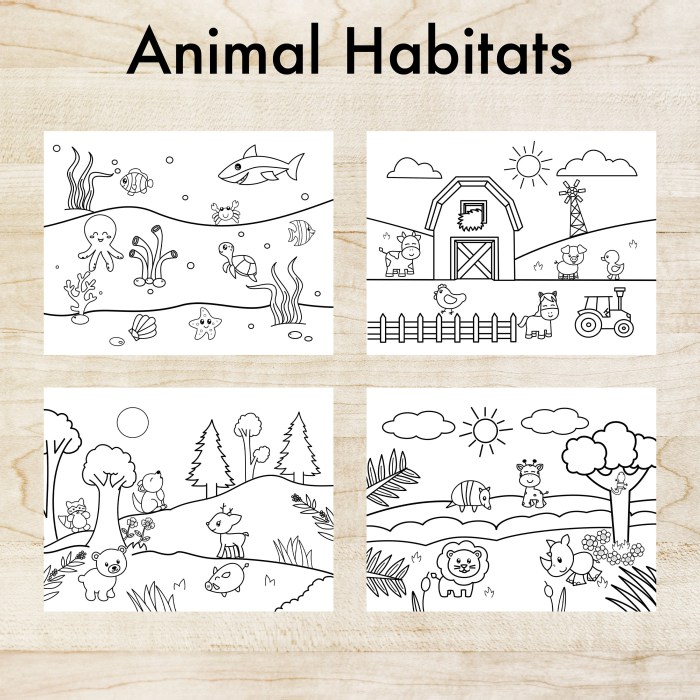 Animal habitats coloring sheets