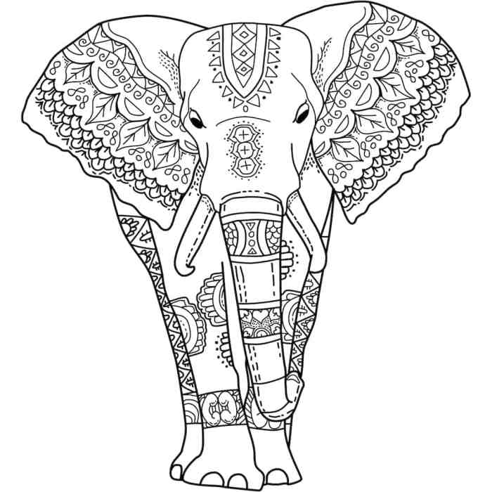 Animal coloring pages elephang mandala