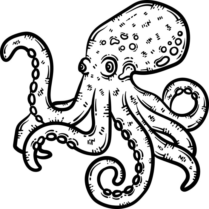 Animal coloring pages octopus