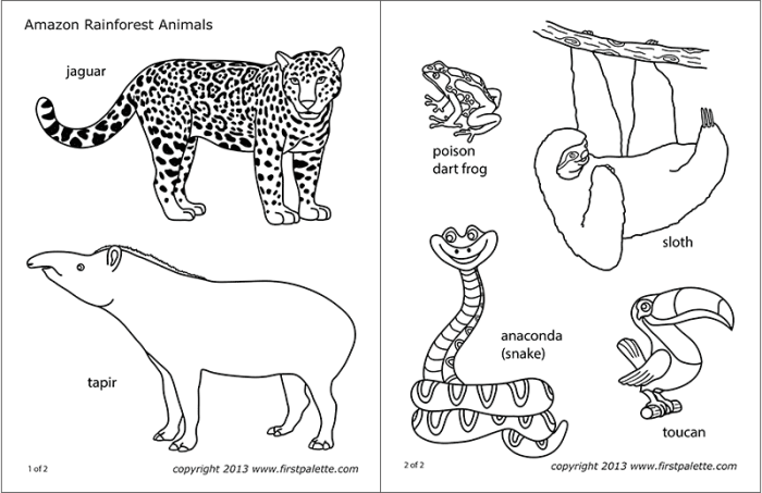 Animated jungle animal coloring pages