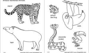 Free coloring page jungle animals