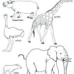 Animals of the african savanna coloring page