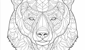 Animals stress relief coloring book