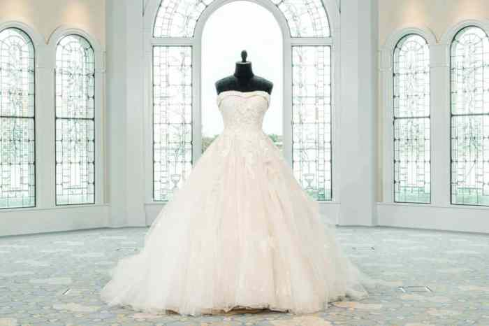 Princess belle wedding dress